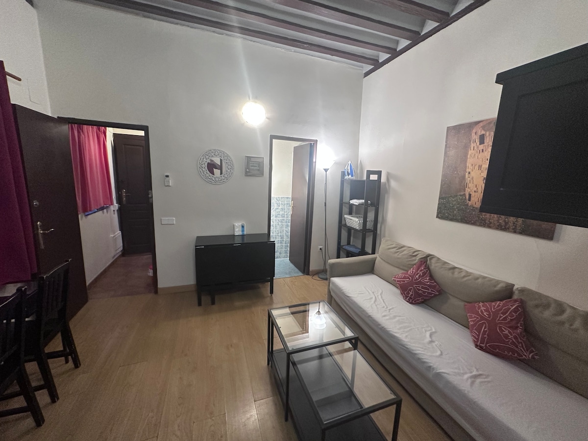 Apartamento Garcilaso IV